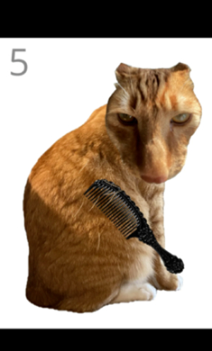 给猫梳毛模拟器官方版