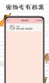 小猫交流器南京轻app开发