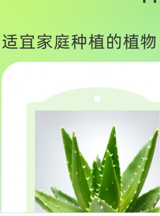 花田庄园app官方版河北oa系统app开发